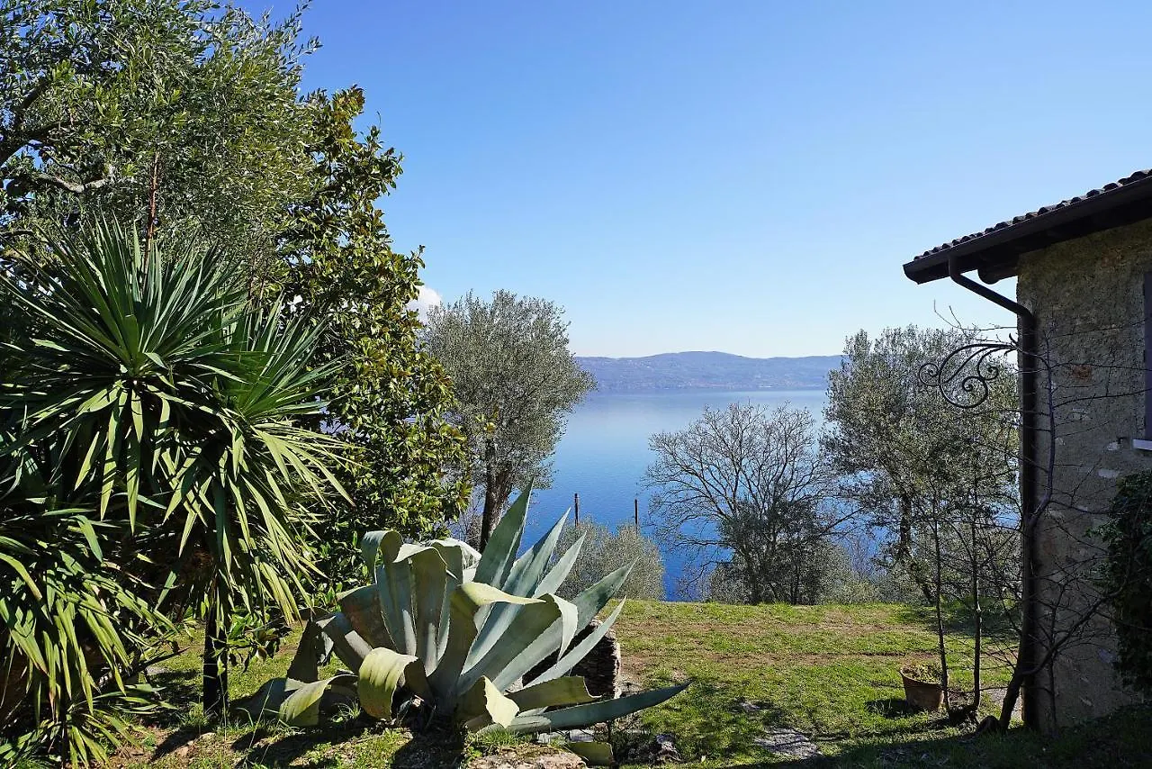Ville In Uliveto Vista Lago - Villa Casaliva Pulciano Italië