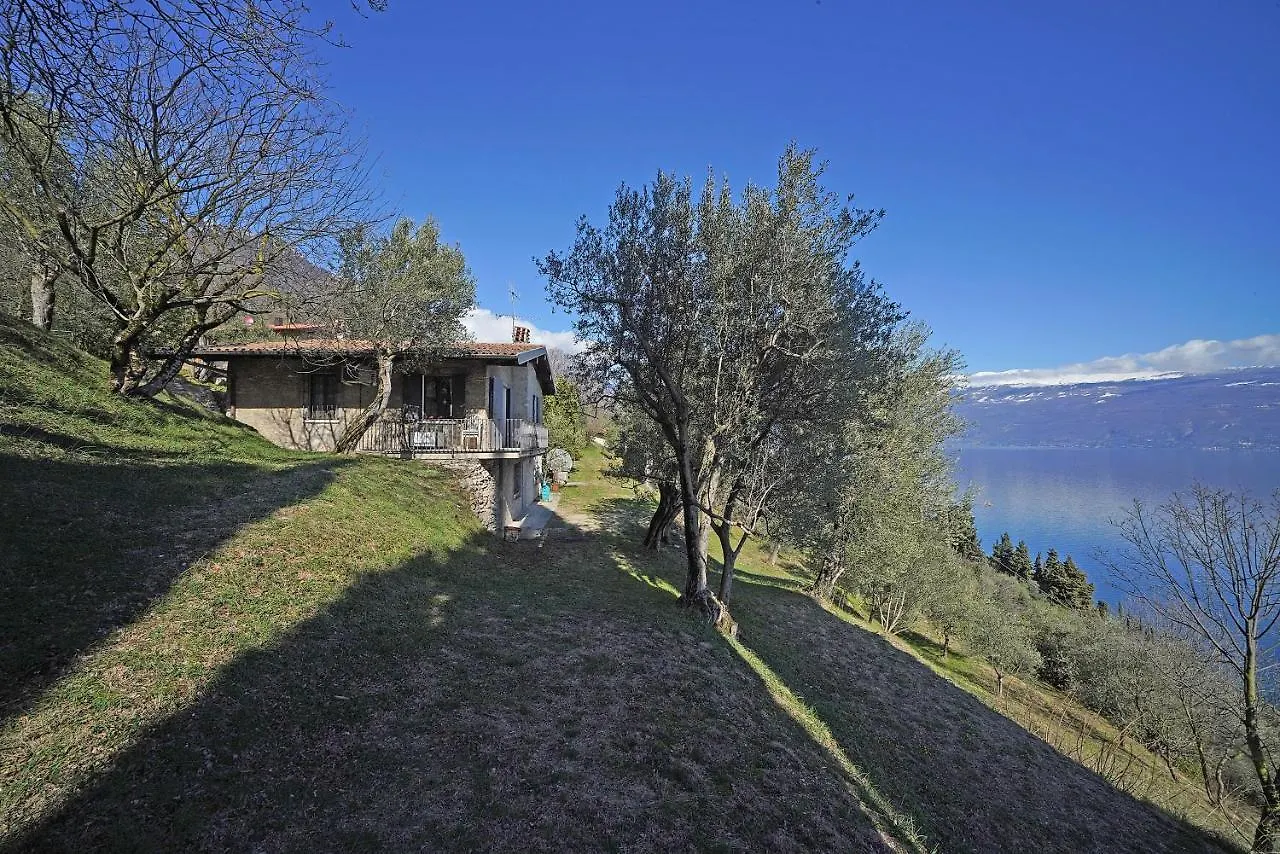 Ville In Uliveto Vista Lago - Villa Casaliva Pulciano 0*,
